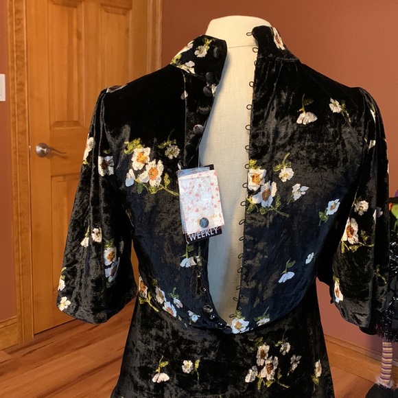 Be My Baby Velvet Mini Dress by (NWT)
Free People size 6 - Picture 6 of 6